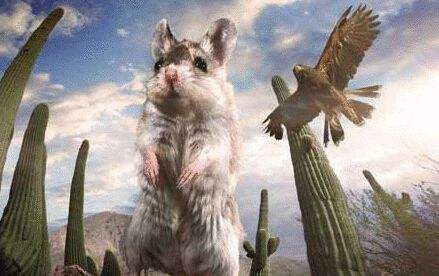 BBC.Hidden.Kingdoms��������������2014 ����1