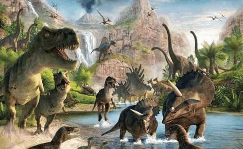 �����صĿ�������ͯ������������