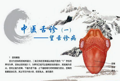 �޴�������