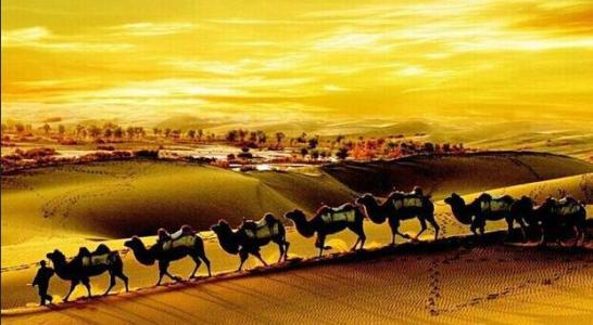 百家讲坛李晓商贾传奇(10集) 百家讲坛李晓商贾传奇(10集)