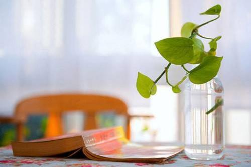 《绿林义士》广播剧(播讲:袁莉) 《绿林义士》广播剧(播讲:袁莉)