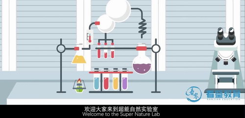 十大自然现象(看鉴教育高清打包)百度网盘保存 十大自然现象(看鉴教育高清打包)百度网盘保存