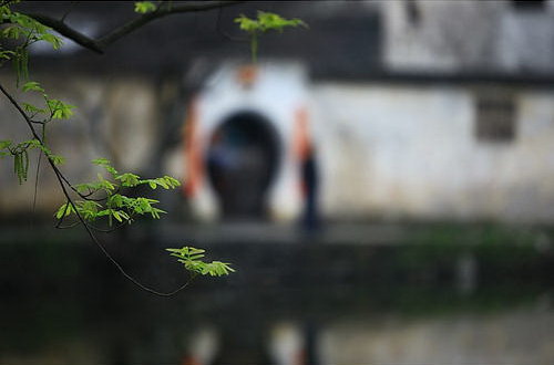 ���е�����