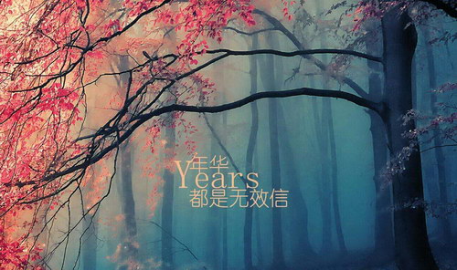 �껪����Ч��