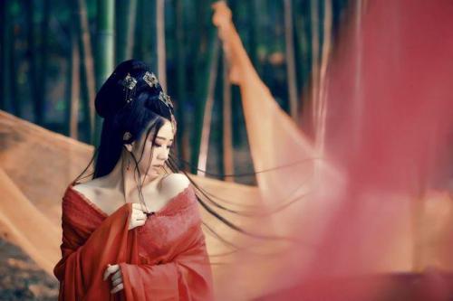 南宋红颜 南宋红颜