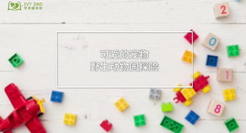 �����������ָߴ��⣨������������ٶ����̱���