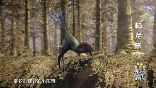 萌眼看世界之恐龙争霸(标清打包)百度网盘保存 萌眼看世界之恐龙争霸(标清打包)百度网盘保存