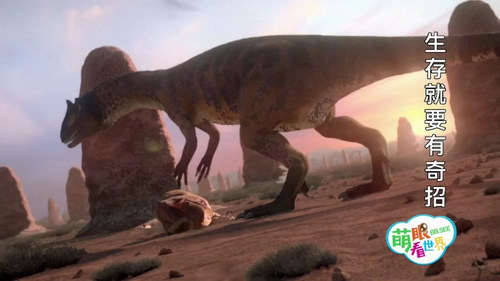 ���ۿ�����֮�������߽��������ľ������磨���������ٶ����̱���