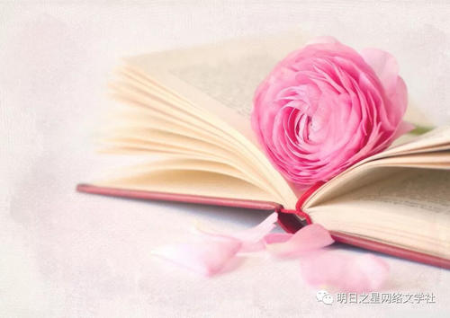 ˼��д�����������꼶��˼���������������ٶ�����