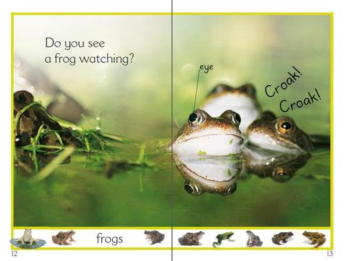 DK分级阅读 百度网盘保存 DK分级阅读 百度网盘保存