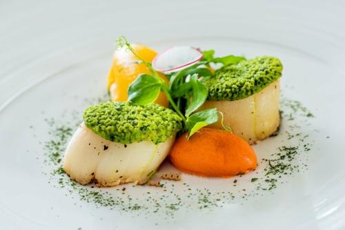 ��ţ��Ӱ�γ�רҵ�� 14G��Ƶ�γ� �ٶ�����