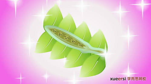 ������ͯ��ѧд��ϵ��֮����ͽ��ͯ����ѧ��˼����ݺ����ٶ����̱���