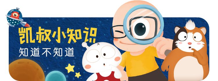 凯叔小知识(共900集)百度网盘保存 凯叔小知识(共900集)百度网盘保存