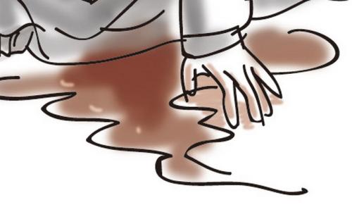 ��ɱ(�ݲ����뿥�衢л����)��ȫ24����