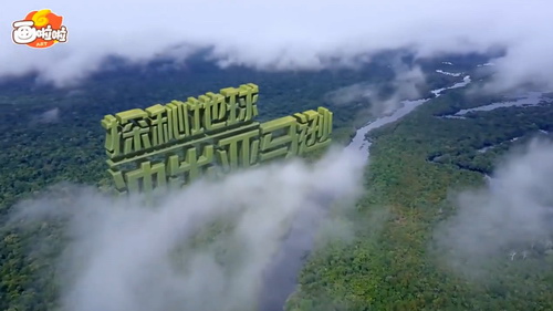 ̽������ѷ С����ϵ�У���Ƶ��ᣩ�ٶ�����