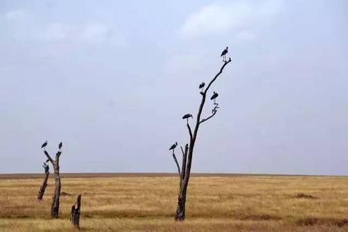 ˼ά�ľ�����������Ϯ�ֲ�