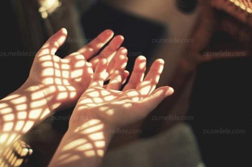 掌纹的秘密 掌纹的秘密