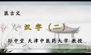 医古文-孙中堂 天津中医药大学(全113集·完整版) 医古文-孙中堂 天津中医药大学(全113集·完整版)