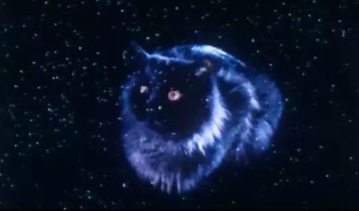 ��˹��ϵ��֮��è��������������