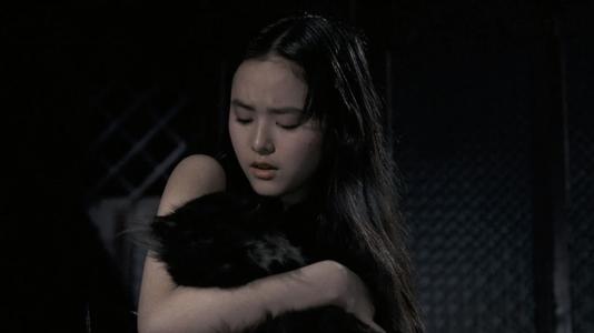 卫斯理系列之老猫(播音:青雪) 卫斯理系列之老猫(播音:青雪)