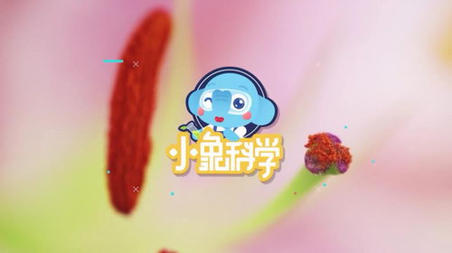 小象科学五年级下同步科学课(38节)(960×540视频)百度网盘 小象科学五年级下同步科学课(38节)(960×540视频)百度网盘