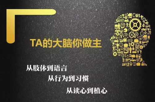 ��ս�����ܼα������������͸���ģ���ᣩ