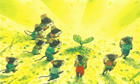 14ֻ�������Ϲϣ�˯ǰ���£�