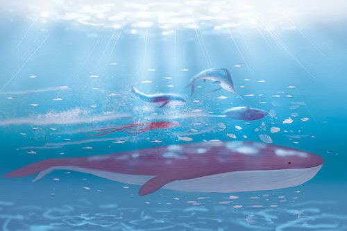 ����-����֮�ģ�˯ǰ���£�