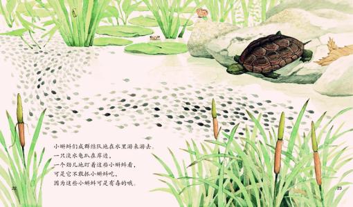 米拉米乐讲故事 - 蒲公英科学绘本 米拉米乐讲故事 - 蒲公英科学绘本