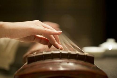 ������Ƶ����