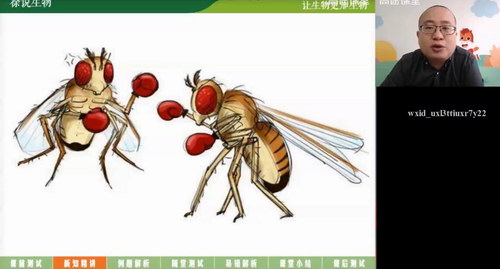 ��;��һ�����쾩���ٰࣨ������Ƶ���ٶ����̱���