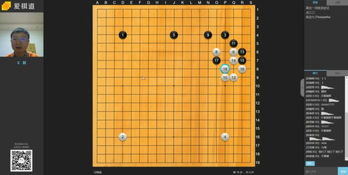 寒假爱棋道(10课高清视频)百度网盘 寒假爱棋道(10课高清视频)百度网盘