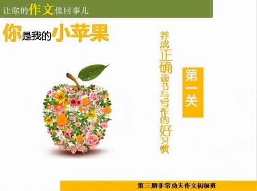 �ǳ���ʦ�������ĳ�����������Ƶ+��Ƶ+PPT�μ����ٶ����̱���