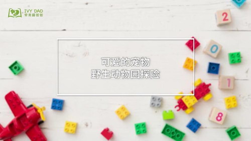 �����������ָߴ��⣨������Ƶ���ٶ����̱���