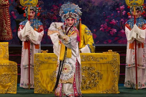 �ټҽ�̳�����ס������ʦ�����