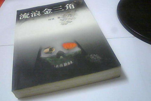 流浪金三角(岳峰)(24回) 流浪金三角(岳峰)(24回)