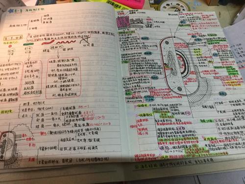 中考学霸笔记全套 百度网盘 中考学霸笔记全套 百度网盘