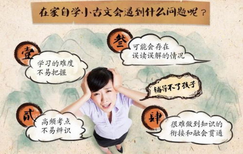 ���������İ���С����3-9�꼶����80�Σ���������Ƶ���ٶ����̱���