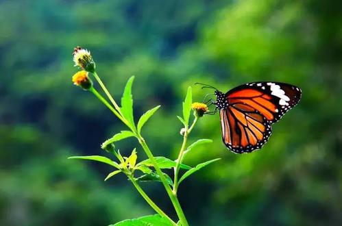 ��Ȼ��ѧͯ��֮��