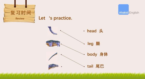 ������̽�ؿ����������İ棨������Ƶ���ٶ����̱���