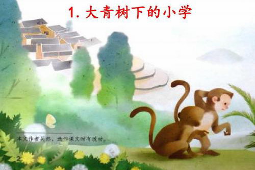 ������������꼶����������ʶ�