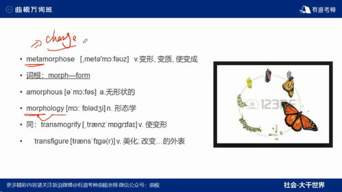 �е�����Ӣ����ʰ������ֱ���Σ�����Ƶ+���壩��������Ƶ���ٶ����̱���