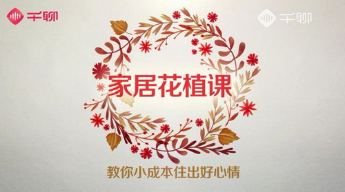 12�üҾӻ�����ֲ�Σ�����С�ɱ�ס�������飨������Ƶ��ᣩ�ٶ����̱���