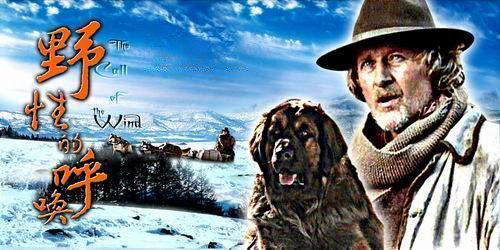 �������Ұ�Եĺ�����Ӣ�������飩