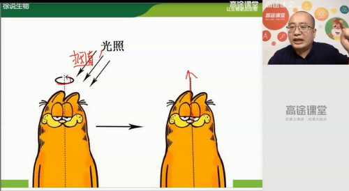 高途2020高二生物徐京秋季班(高清视频)百度网盘保存 高途2020高二生物徐京秋季班(高清视频)百度网盘保存