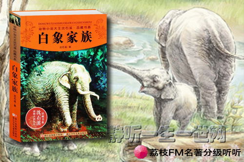 荔枝FM名著分级听听.白象家族(8岁+) 荔枝FM名著分级听听.白象家族(8岁+)