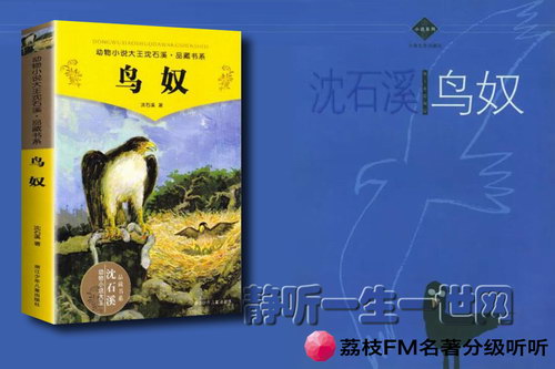 荔枝FM名著分级听听.鸟奴(8岁+) 荔枝FM名著分级听听.鸟奴(8岁+)