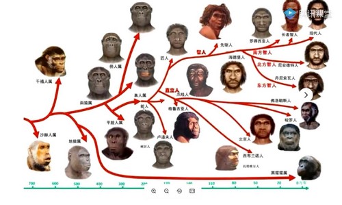 ��Ѷ����2022�߿���ʷ������һ�֣�52.8G������Ƶ���ٶ����̱���