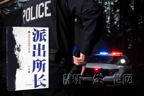 派出所长(全40集)(播音:国平) 派出所长(全40集)(播音:国平)