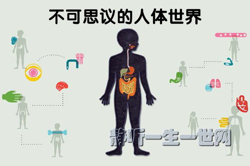 ����˼����������磨ȫ����